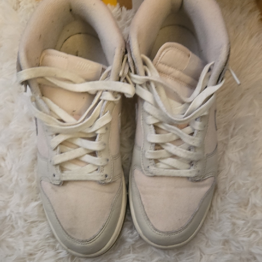 Nike Dunk Mid Top Sneakers